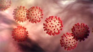 Read more about the article Coronavirus COVID-19