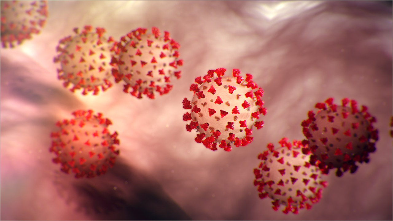 Read more about the article Coronavirus COVID-19